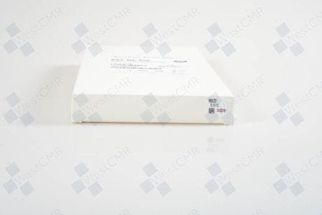 base image