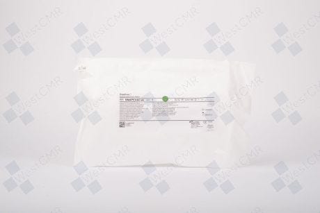 base image
